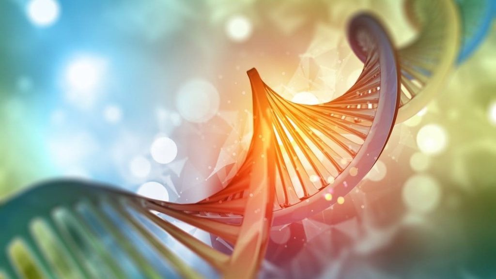 SuperDNA - The Future of Health is Dynamic, Data-Driven—and Epigenetic